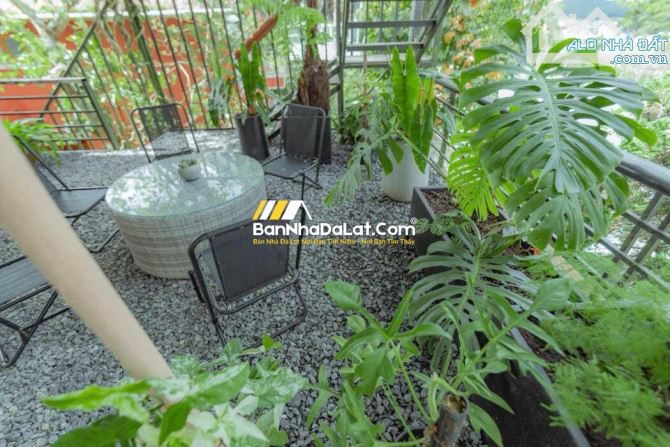 🏡Bán Biệt Thự Mặt tiền đường Nguyễn Viết Xuân, P4. DT: 352m2, cung đường đẹp giữa lòng TP - 7