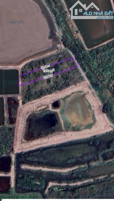 Bán gấp lô đất đường Lý Nhơn, xã An Thới Đông, Cần Giờ 2,25tỷ - 8