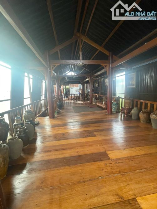 Bán Nhà mặt tiền Trường Chinh, P Chi Lăng, TP Pleiku, Gia Lai - 8