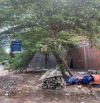 🏡 LÔ GÓC ÔM CUA 2 MẶT TIỀN ĐƯỜNG NGUYỄN THỊ HỒNG BÔNG