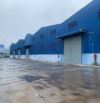 Cho thuê 5000m2 kho xưởng thành phó vỉnh long