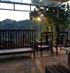 SIÊU PHẨM ĐẦU TƯ 1 HECTA (10.000M2) TẠI ĐÈO MIMOSA, ĐÀ LẠT – SẴN MÔ HÌNH CAFÉ – SỔ RIÊNG