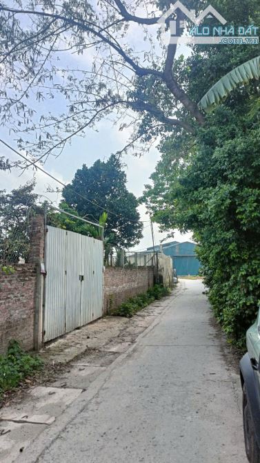 💥  BÁN GẤP MẢNH ĐẤT ĐẸP TẠI TIÊN LỆ – HOÀI ĐỨC, HÀ NỘI – CHỈ 41M², GIÁ TỐT! 💥