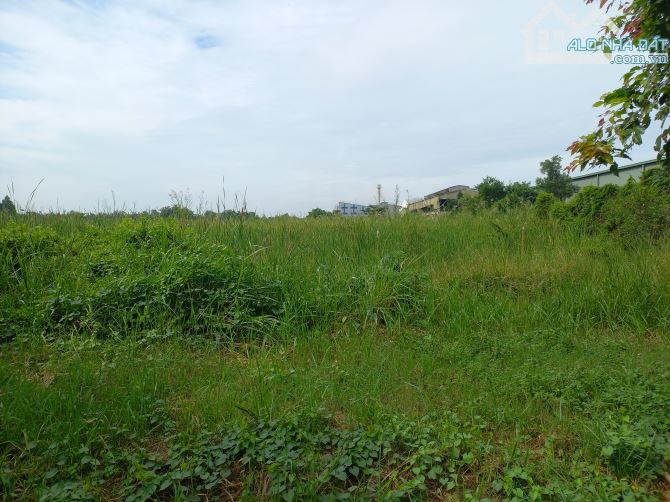 Bán đất xây dựng xưởng 20,000m2 KCN Hiệp Phước, Xã Hiệp Phước, Huyện Nhà Bè, Tp HCM - 1