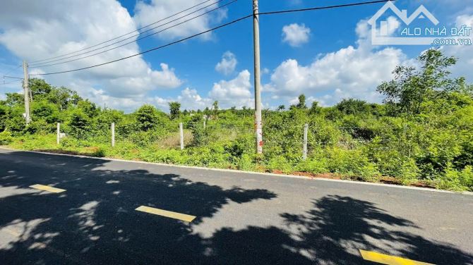 🏡 BÁN ĐẤT MẶT TIỀN ĐƯỜNG NHỰA 9M – LONG TÂN – ĐẤT ĐỎ – BRVT  🔹 Diện tích: 529 m² (15.18