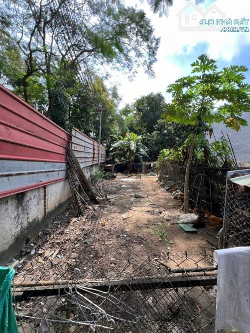 Đất 79m ngang 4.5m gần chợ Phú An p. Tân Bình Tp. Dĩ An