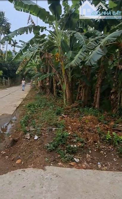 Bán đất 2mt thôn Hà Dục Đông, Đại Lãnh, Quảng Nam - Đà Nẵng giá chỉ 265tr