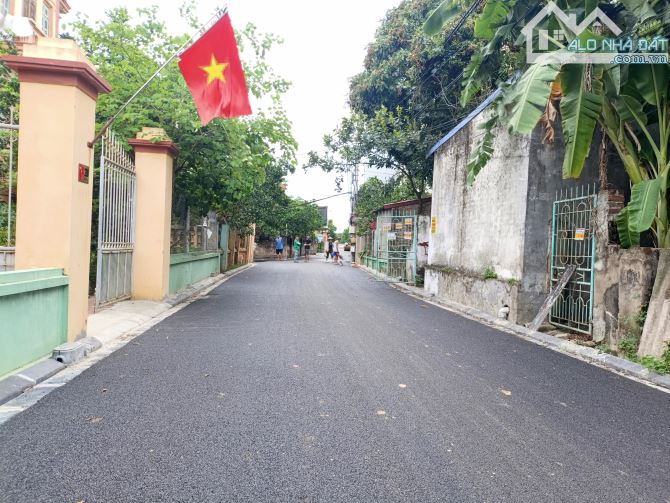 🌟 SIÊU PHẨM ĐẤT VÀNG THIÊN LỘC, VÕNG LA, ĐÔNG ANH, HÀ NỘI - CHỈ 59TR/M²! 🌟