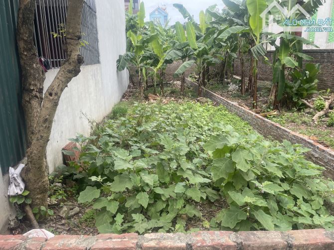🔥 LÔ ĐẤT ĐẸP TT HẢI BỐI – 72M² – Ô TÔ TẢI NGỦ TRONG ĐẤT – CHỈ 6 TỶ!