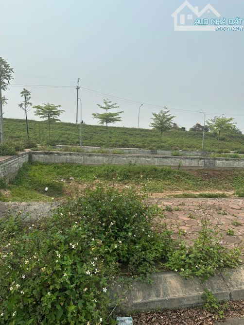 ĐẤT PHÂN LÔ KHU TRỤC ĐƯỜNG N1 HẠ MỖ ĐAN PHƯỢNG VỈA HÈ Ô TÔ TRÁNH