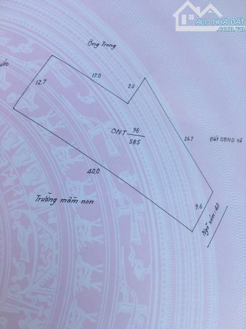 Bán lô đất cực đẹp 585m² tại Quang Phục, Tứ Kỳ – Giá chỉ 6 triệu/m²!