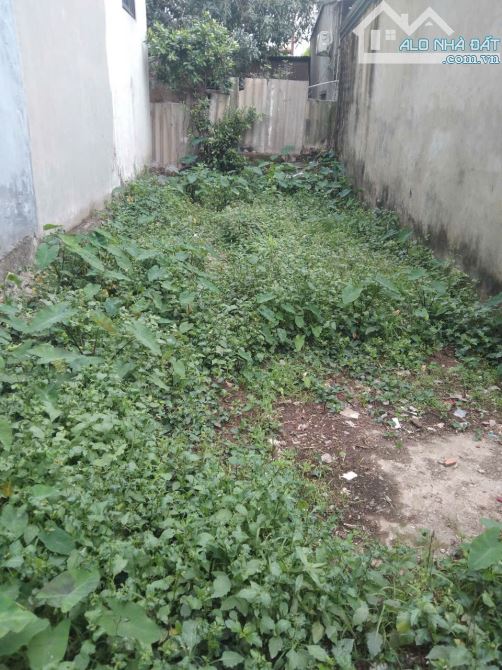 BÁN ĐẤT NHÂN TRẠCH PHÚ LƯƠNG, 52M NGÕ NÔNG GIÁ ĐẦU TƯ