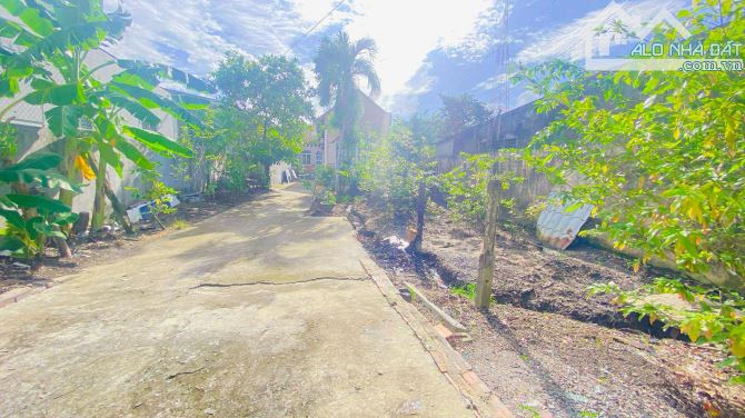Cho thuê 400 m2 nhà và sân  đường Tầm Vu 9 triệu - 10