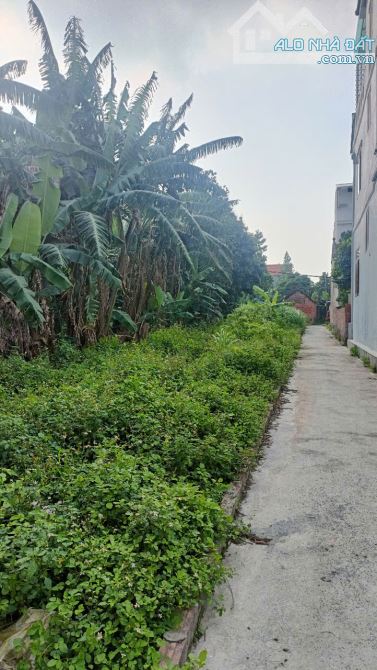 💥  BÁN GẤP MẢNH ĐẤT ĐẸP TẠI TIÊN LỆ – HOÀI ĐỨC, HÀ NỘI – CHỈ 41M², GIÁ TỐT! 💥 - 1