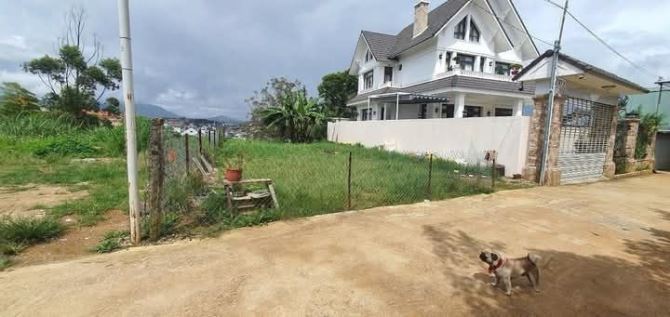 Bán 236m2 đất villa biệt thự ngô quyền đà lạt 10 tỷ sổ riêng đất xây dựng - 1