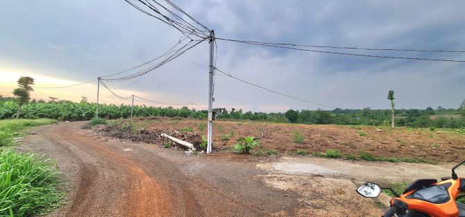 Bán 1,6 hecta đất đẹp có 300m2 thổ cư, đường ô tô gần Trung tâm xã Lâm San, Cẩm Mỹ, ĐN - 1