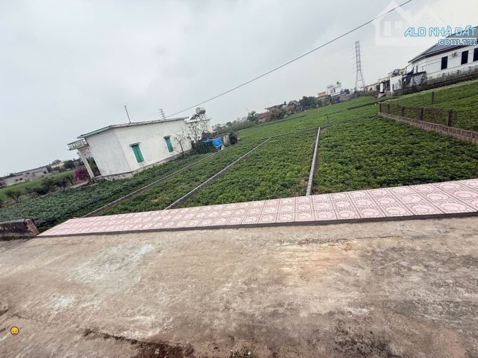 Cơ hội sở hữu đất full cư cạnh khu công nghiệp 400ha Giao Thủy chỉ 1.2 tỷ đường ô tô - 1