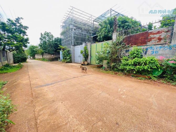 ❌ Bán nhanh lô đất hẻm 30 Mai Thị Lựu - Đường 19/05. Cách bệnh viện Vùng chỉ 1,5km, Ngã Sá - 1