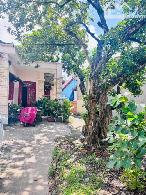 BÁN CĂN BIỆT THỰ NGAY NGÃ TƯ LINH XUÂN, THỦ ĐỨC 621M2 (14 X 42 ) THỔ CƯ - GIÁ 38 TỶ - 1