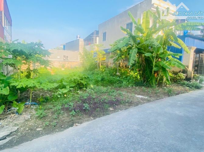 Bán đất Hà Đậu, 229m2 cho bác nào cần xây trọ - 1