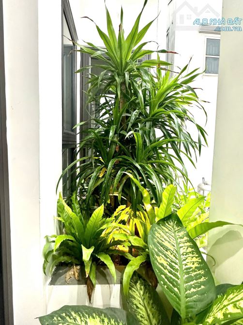 Bán nhà 4,5 tầng 79m2 phố Trần Nhật Duật, Cầu Đất, Ngô Quyền.  Giá chỉ 5,8 tỷ - 15