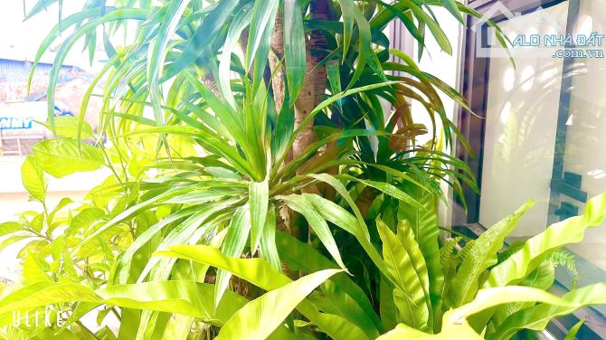 Bán nhà 4,5 tầng 79m2 phố Trần Nhật Duật, Cầu Đất, Ngô Quyền.  Giá chỉ 5,8 tỷ - 20