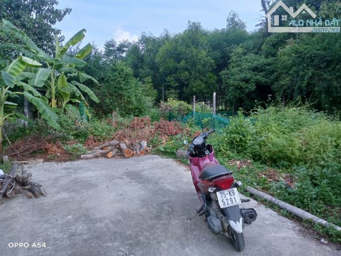Bán đất kiệt tôn thất Sơn- thủy phương-hương thủy-Huế -bds quan trọng là khả năng sinh lơi - 2