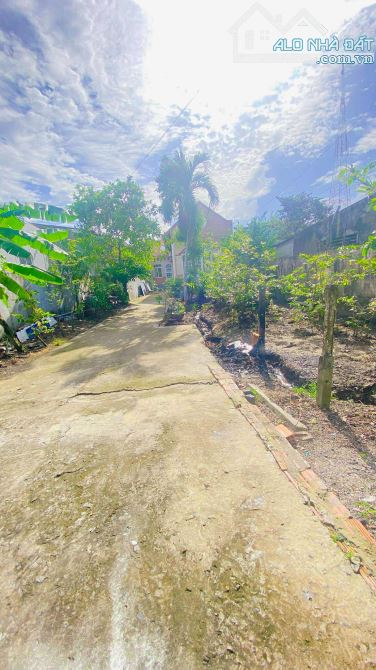 Cho thuê 400 m2 nhà và sân  đường Tầm Vu 9 triệu - 2