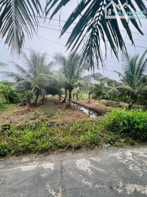 Bán 1017m2 đất vườn dừa đường oto quy hoạch đất ở - 2