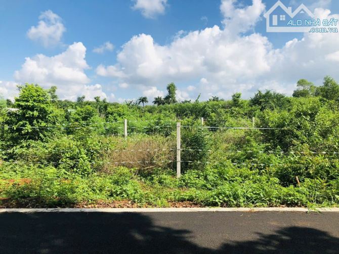 🏡 BÁN ĐẤT MẶT TIỀN ĐƯỜNG NHỰA 9M – LONG TÂN – ĐẤT ĐỎ – BRVT  🔹 Diện tích: 529 m² (15.18 - 2