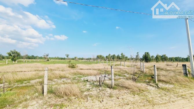 bán đất 1000m2 mặt tiền đường số 1 rừng vàng, Tân Bình, LaGi, Phủ Hồng, Gần Biển, 2 tỷ - 2