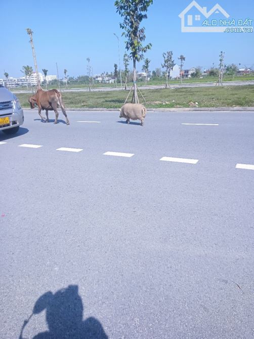 Bán đất mặt tiền đường trường sa ngay trung Phú đa Phú vang tp Huế - 2