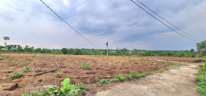 Bán 1,6 hecta đất đẹp có 300m2 thổ cư, đường ô tô gần Trung tâm xã Lâm San, Cẩm Mỹ, ĐN - 2