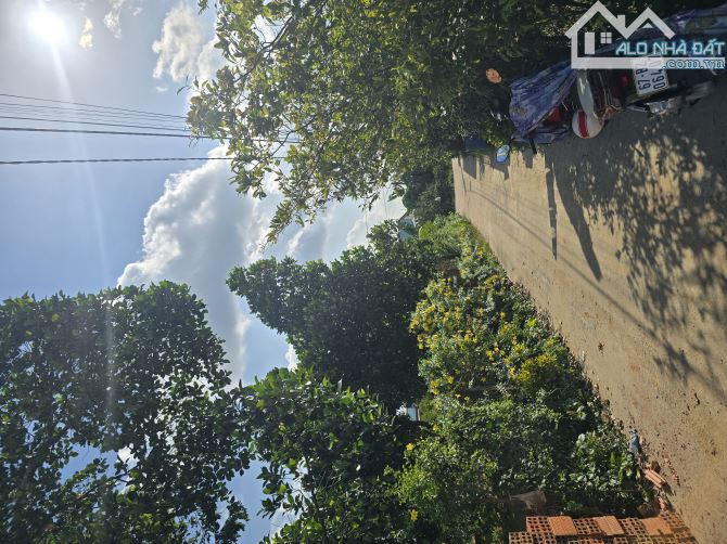 Bán Gấp 10 Lô Đất Sổ Riêng Thổ Cư 100% Giá Đầu Tư F0 ngay sau Nhà Thờ Tân Triều - 2