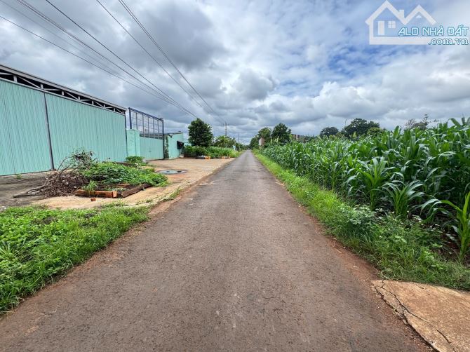 5x39m ĐẤT THỔ CƯ ĐẸP NHẤT THÔN 3 CƯSUE GIÁ RẺ - 2