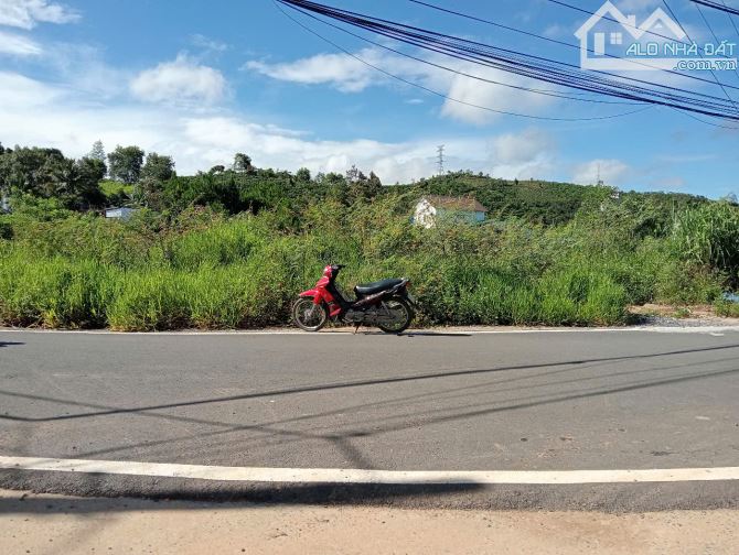 500m2 có 100m thổ cư mặt tiền phường 3 Bảo Lộc - 3