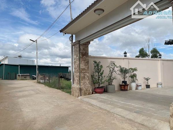Bán 236m2 đất villa biệt thự ngô quyền đà lạt 10 tỷ sổ riêng đất xây dựng - 3