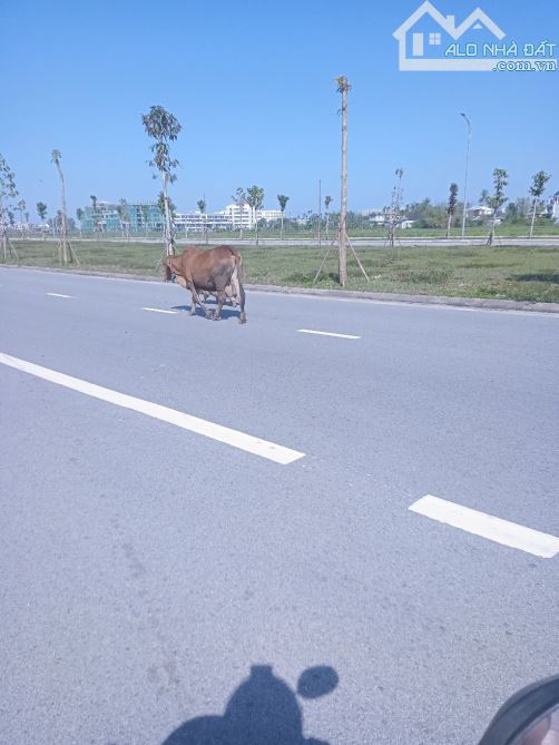 Bán đất mặt tiền đường trường sa ngay trung Phú đa Phú vang tp Huế - 3