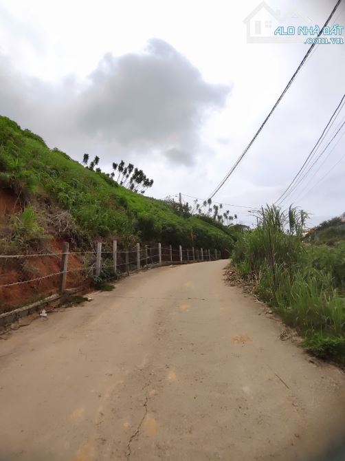 🏠 BÁN ĐẤT BIỆT LẬP AN SƠN –  P.4( P. XUÂN HƯƠNG ), ĐÀ LẠT. - 9.9 TỶ - 3