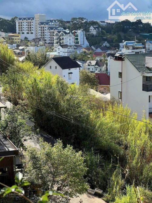 ✨🏡 BÁN ĐẤT HAI MẶT TIỀN – HẺM Ô TÔ NHỎ ĐƯỜNG TRỊNH HOÀI ĐỨC P.11 ĐÀ LẠT - 3