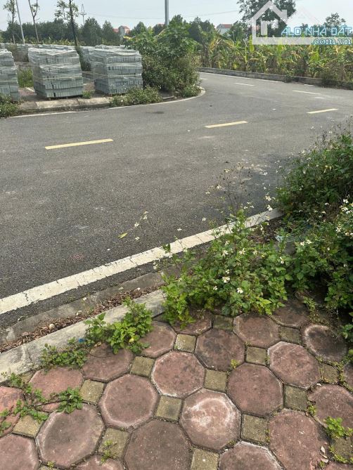 ĐẤT PHÂN LÔ KHU TRỤC ĐƯỜNG N1 HẠ MỖ ĐAN PHƯỢNG VỈA HÈ Ô TÔ TRÁNH - 3