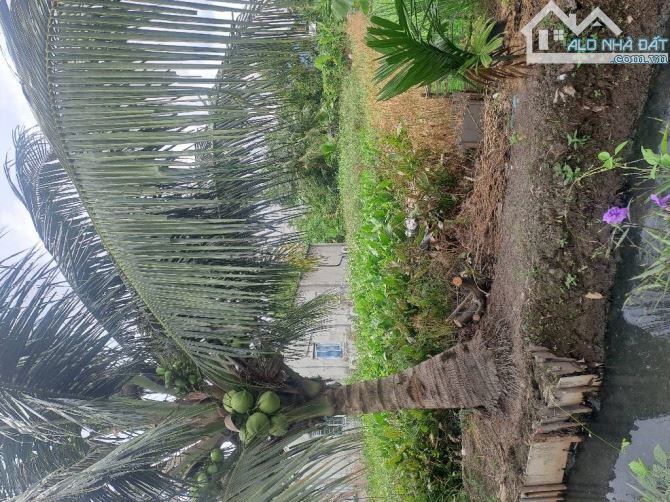 Đất FULL THỔ CƯ đường THẠNH XUÂN 33, phường TX, Q12, dt 200m2 (7,5mx27m) đường 6m💰7,5Tỷ - 3