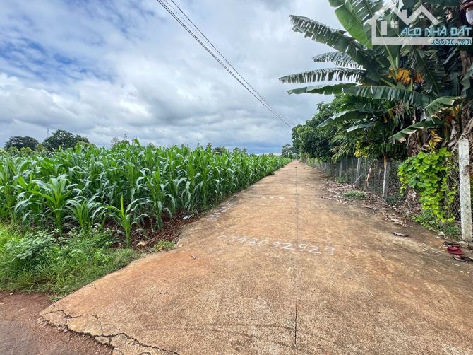 5x39m ĐẤT THỔ CƯ ĐẸP NHẤT THÔN 3 CƯSUE GIÁ RẺ - 3