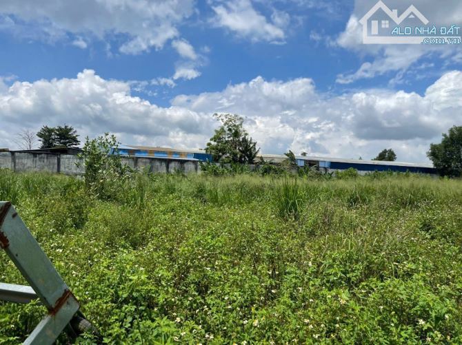 BÁN ĐẤT 8.500m². PHÙ HỢP ĐẦU TƯ XÂY DỰNG NHÀ XƯỞNG – P. TAM PHƯỚC, BIÊN HÒA, ĐỒNG NAI. - 3