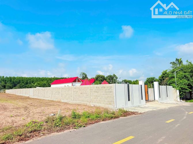 BÁN ĐẤT XÃ ĐẤT ĐỎ - TP HỒ CHÍ MINH; KHU TOÀN NHÀ VƯỜN BIỆT THỰ  ✅DT 987M2~1000M2-SẴN 200tc - 4