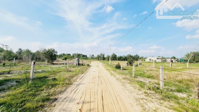 bán đất 1000m2 mặt tiền đường số 1 rừng vàng, Tân Bình, LaGi, Phủ Hồng, Gần Biển, 2 tỷ - 4