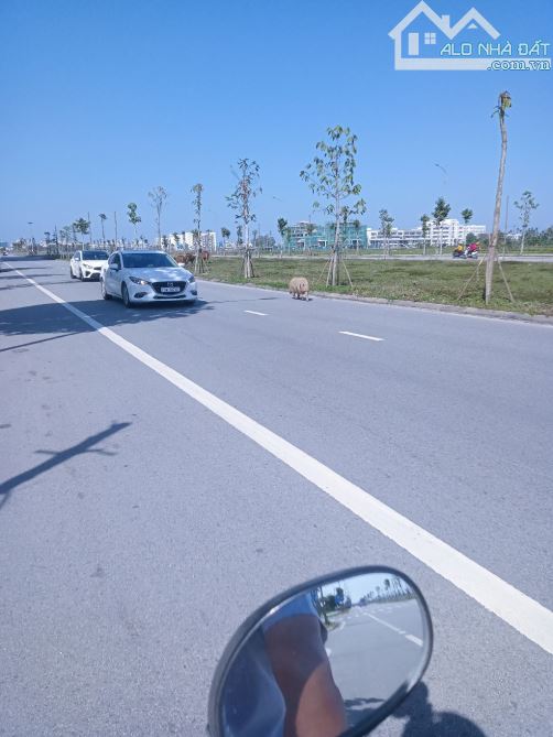 Bán đất mặt tiền đường trường sa ngay trung Phú đa Phú vang tp Huế - 4