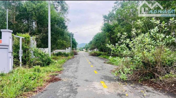 Sát Tỉnh lộ 44B- Phước Hội - Đất Đỏ- BRVT. DT: 15x35m 👉 ---- 🔺DT: 537m2 - 5