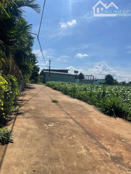 5x39m ĐẤT THỔ CƯ ĐẸP NHẤT THÔN 3 CƯSUE GIÁ RẺ - 5