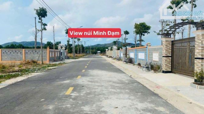 Sát Tỉnh lộ 44B- Phước Hội - Đất Đỏ- BRVT. DT: 15x35m 👉 ---- 🔺DT: 537m2 - 6